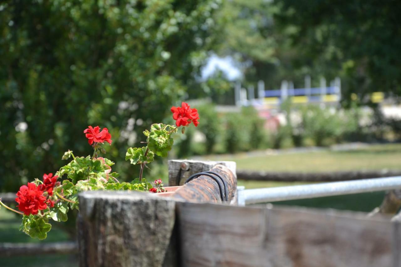 Gite Du Haras Les Aubiers Bagian luar foto