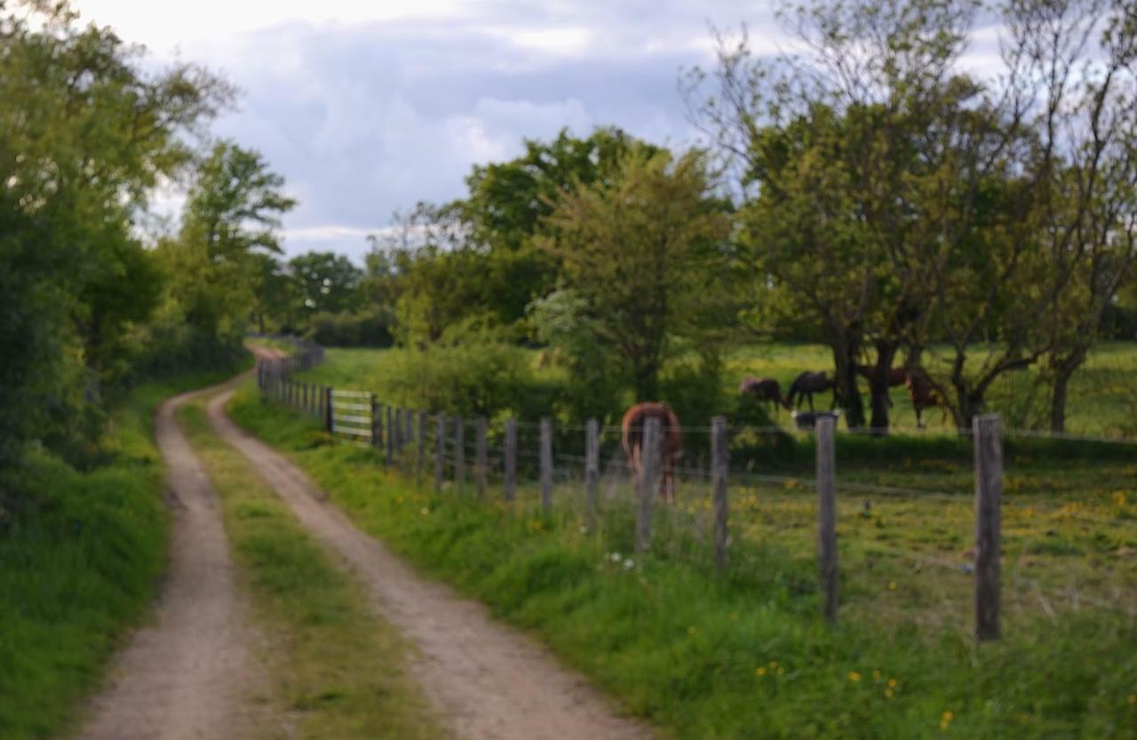 Gite Du Haras Les Aubiers Bagian luar foto