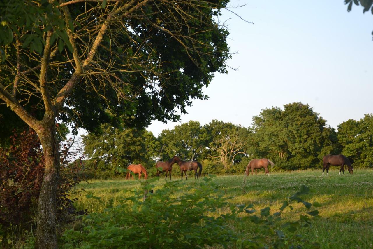 Gite Du Haras Les Aubiers Bagian luar foto